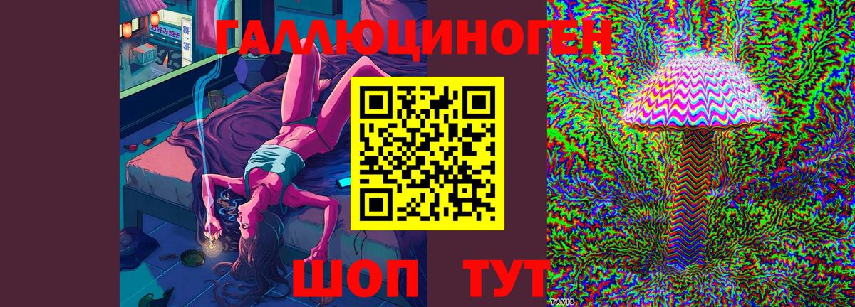 Псилоцибиновые грибы Magic Shrooms  Вход с VPN  Корсаков  Галлюциногенные грибы Psilocybine cubensis 