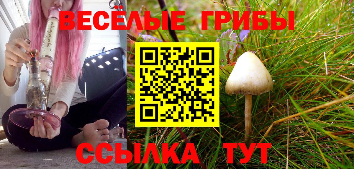 Псилоцибиновые грибы Magic Shrooms Корсаков